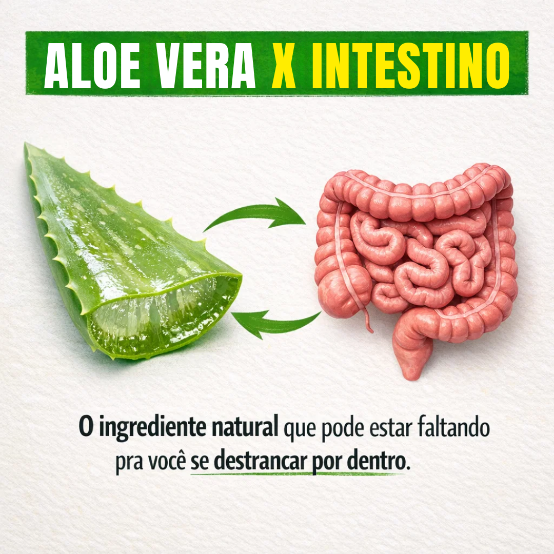 3 Passos simples para transformar sua saúde intestinal